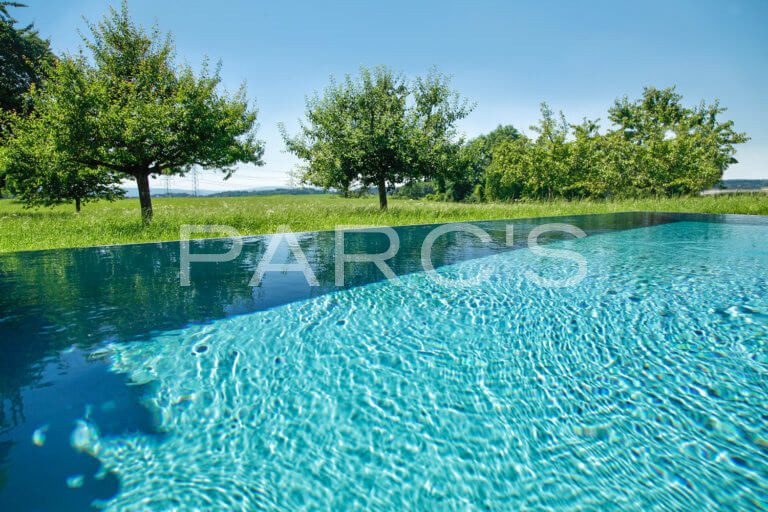 Infinity-Swimming-Pool-Garten-5